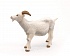 Фигурка Белая коза  - миниатюра №3